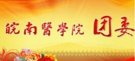 皖南医公司团委